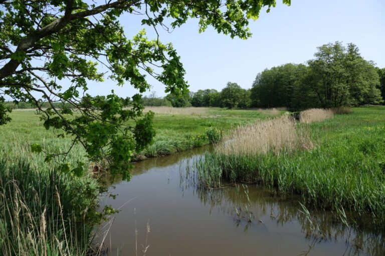 balloerveld (10)