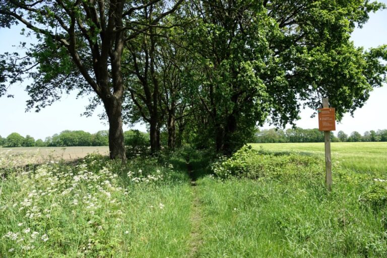 balloerveld (12)