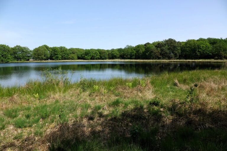 balloerveld (15)