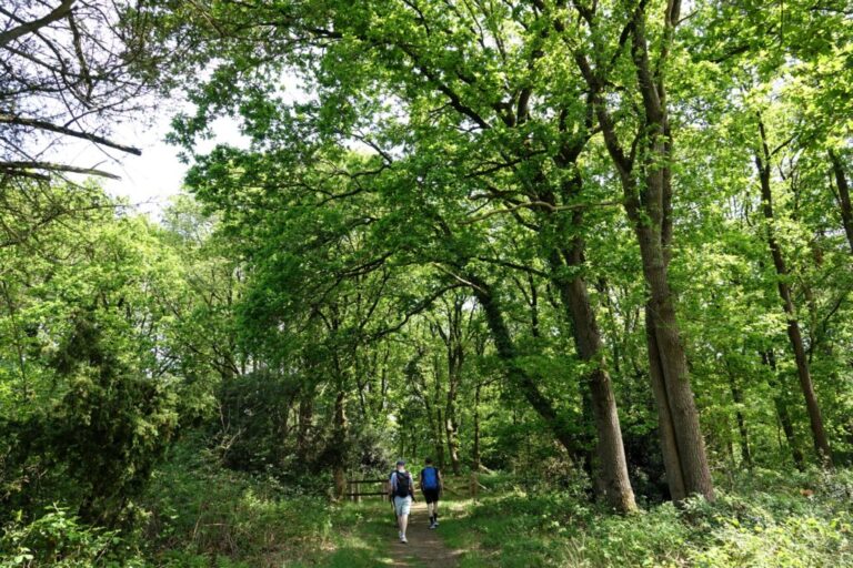 balloerveld (16)