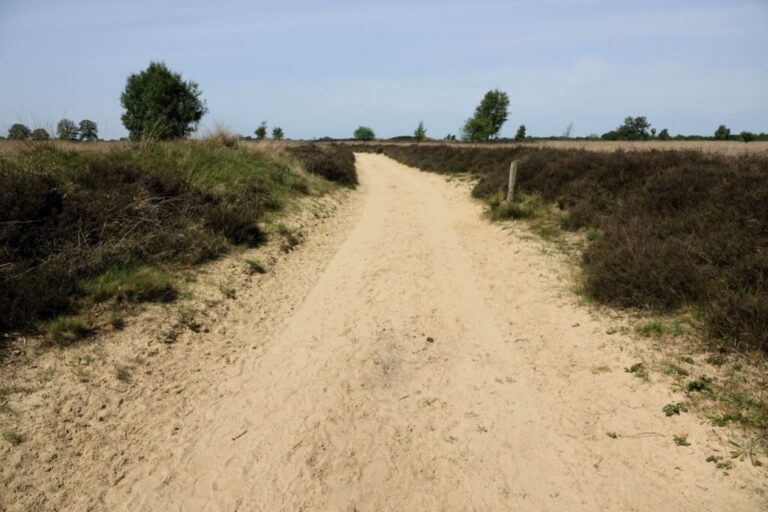 balloerveld (5)
