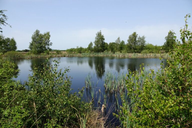 balloerveld (8)