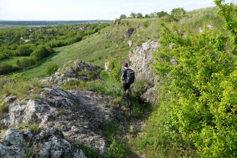 defileul-duruitoarea (9)