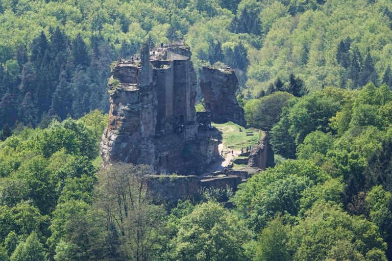 fleckenstein