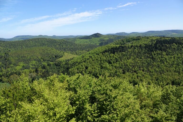 deutsch-franzoesischer-burgenweg (12)