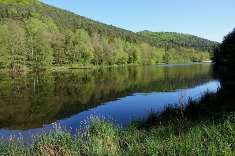 weiher fleckenstein
