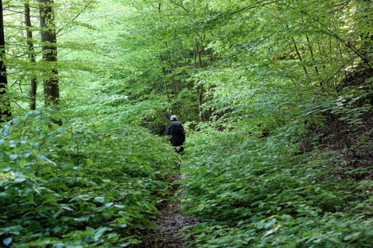 deutsch-franzoesischer-burgenweg (16)