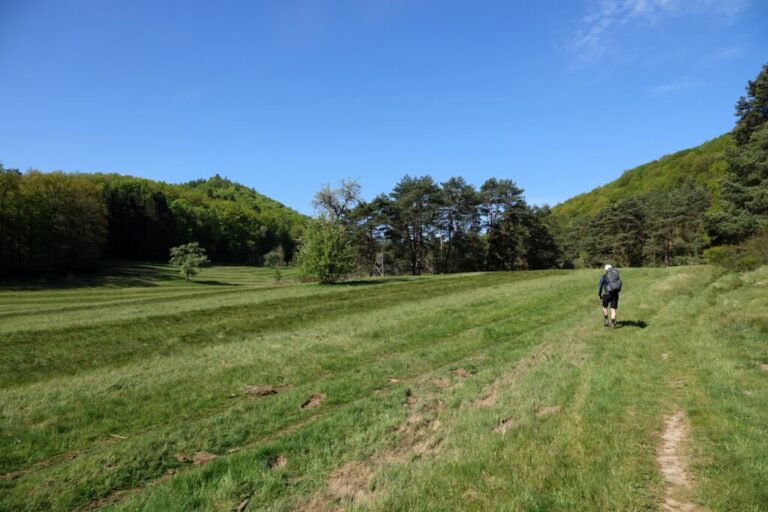 deutsch-franzoesischer-burgenweg (22)