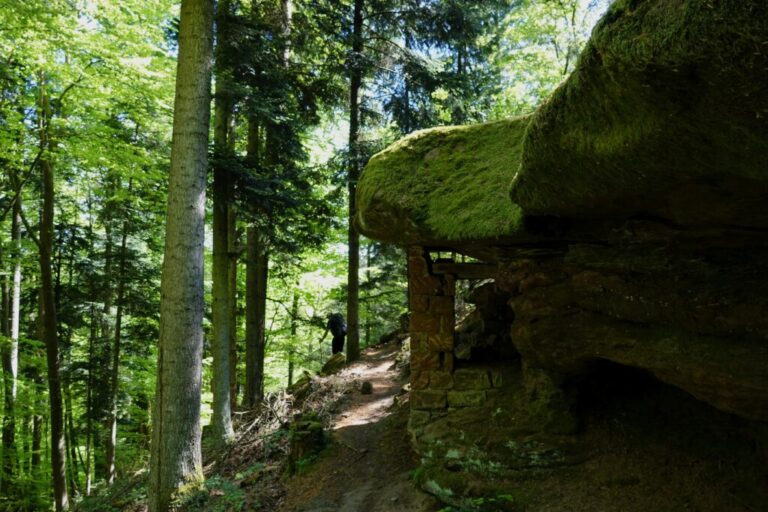 deutsch-franzoesischer-burgenweg (27)
