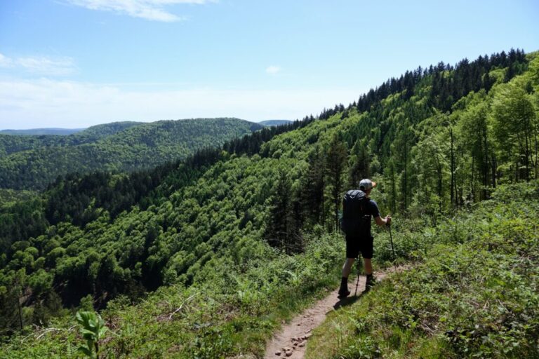 deutsch-franzoesischer-burgenweg (32)
