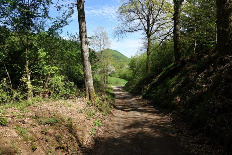 deutsch-franzoesischer-burgenweg (34)