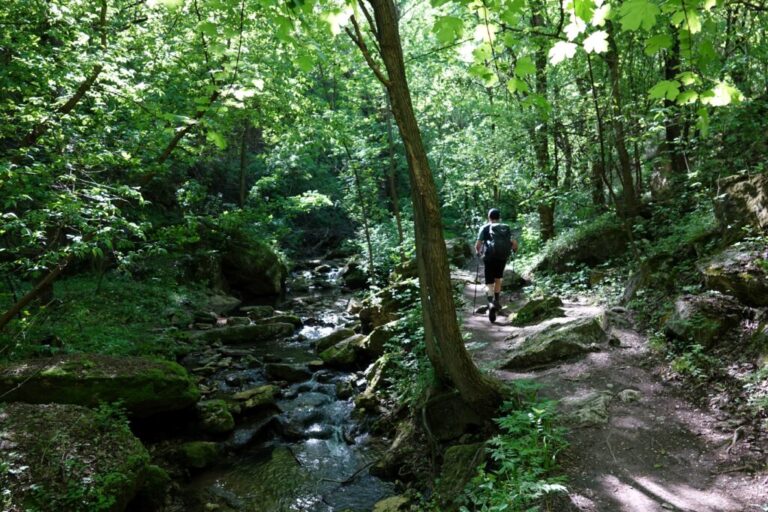 saharna-schlucht (5)