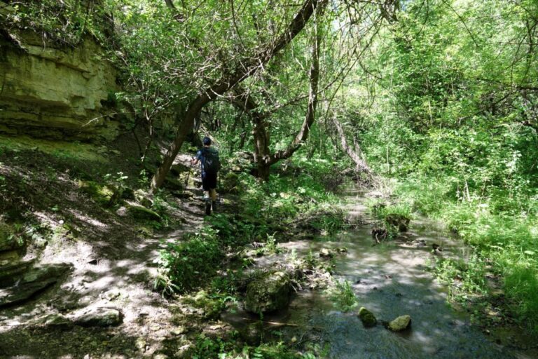 tipova-wasserfalle (8)