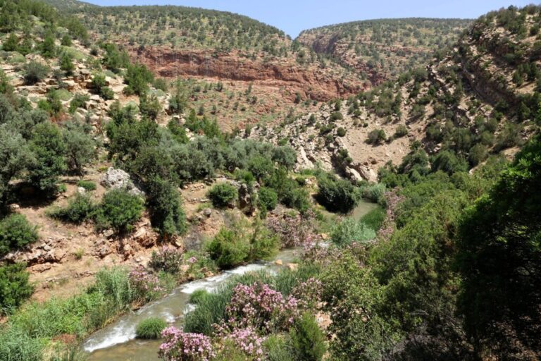 ouzoud-wasserfaelle (9)