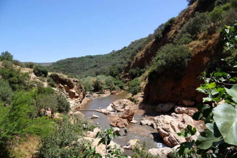 ponte-naturel-imi-nifri (11)
