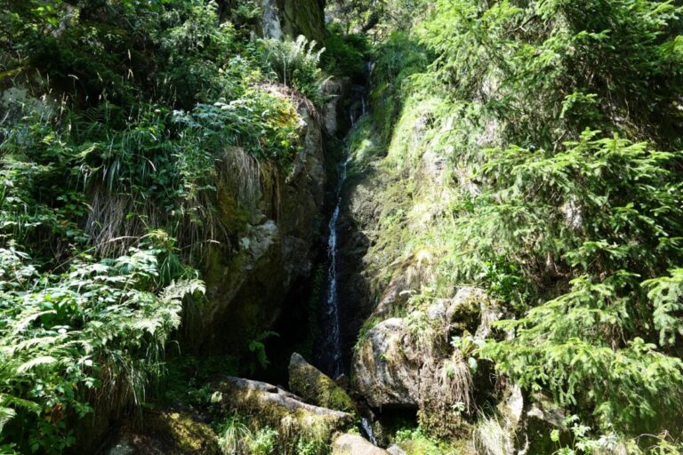 sentier-des-roches (12)