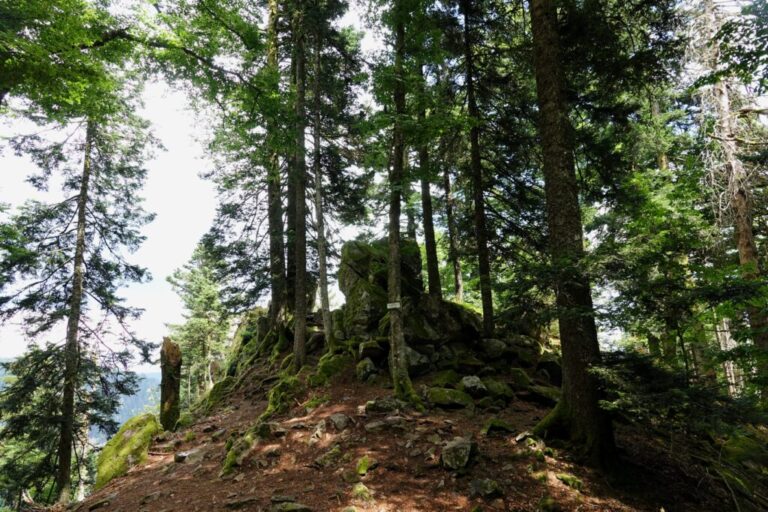 krappenfels