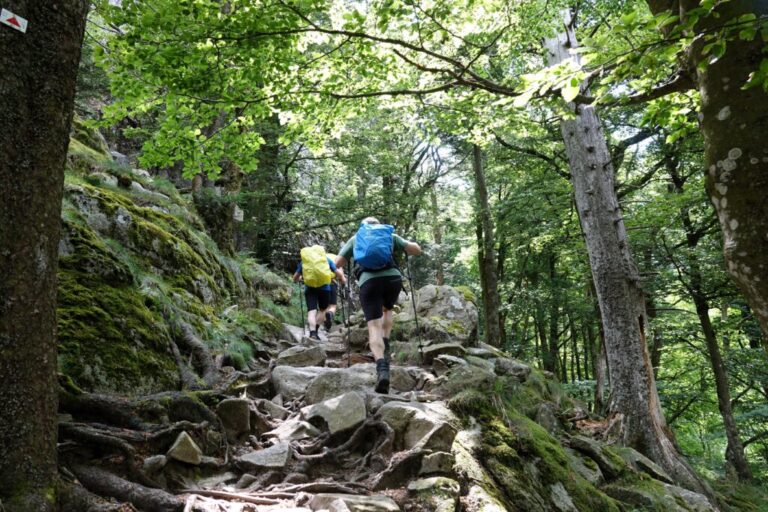 sentier-des-roches (15)
