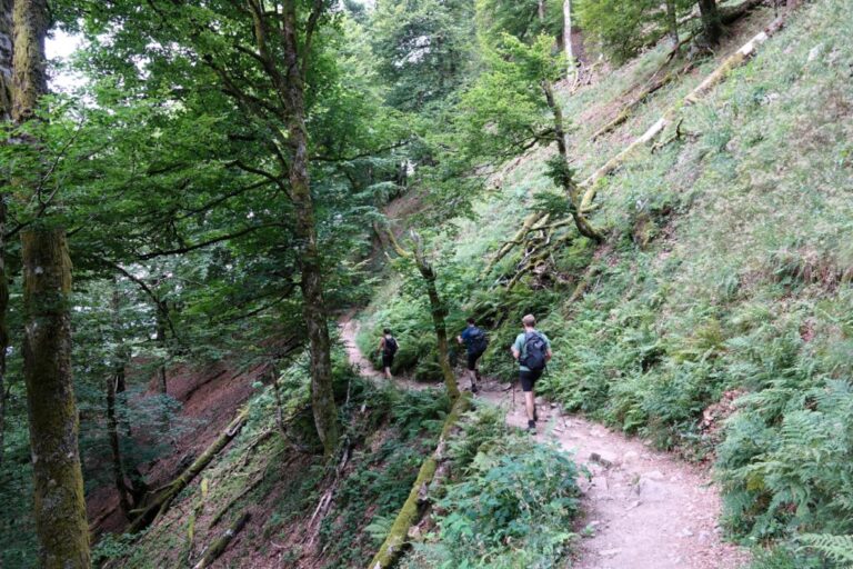 sentier-des-roches (2)