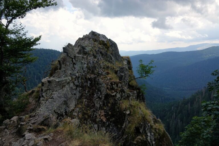 sentier-des-roches (3)