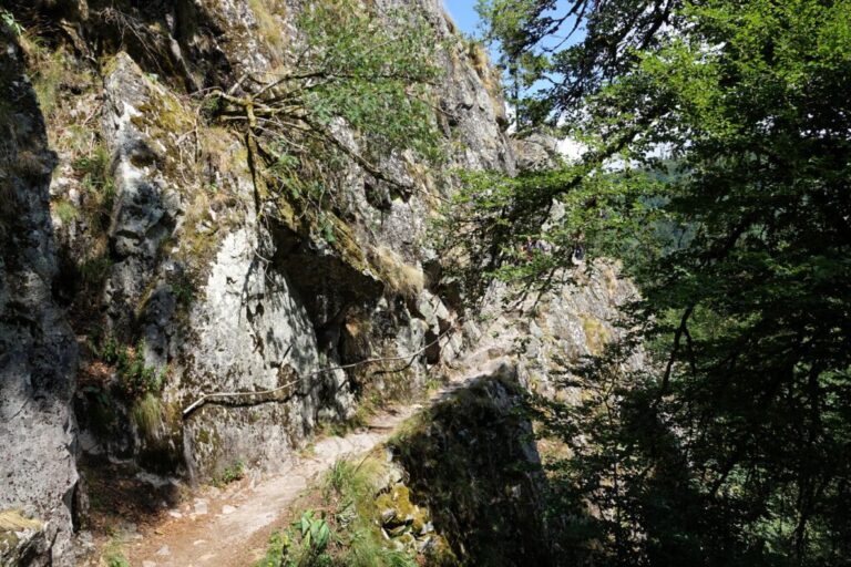 sentier-des-roches (5)