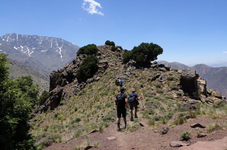 tassgimout (12)