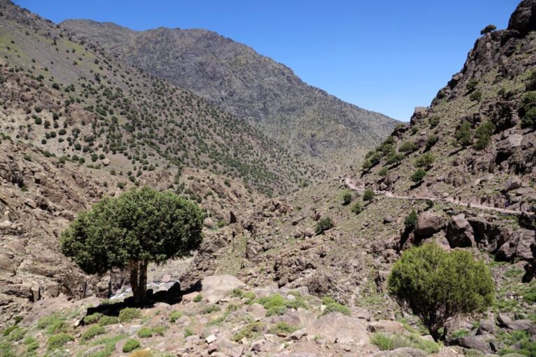 toubkal (6)
