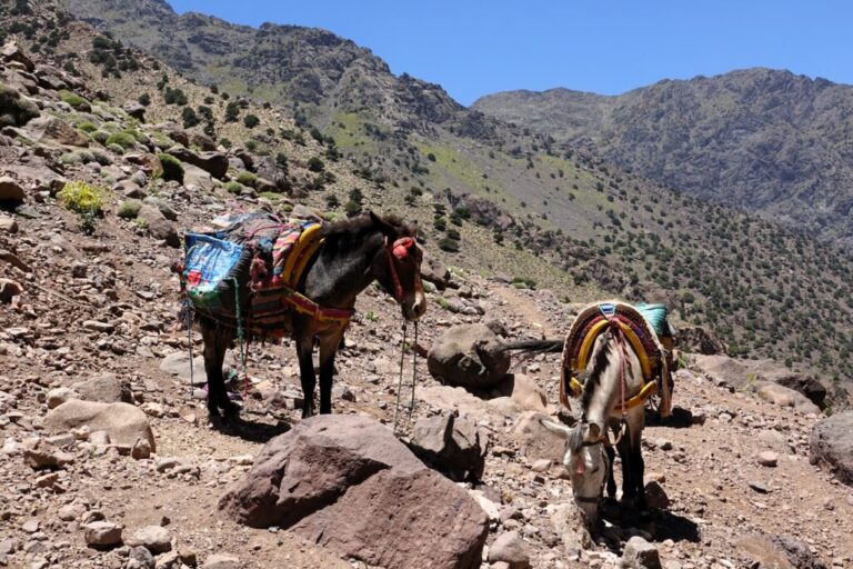 toubkal (7)