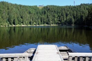Steg am Mummelsee.