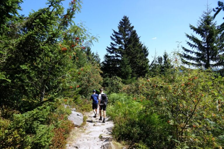 hornisgrinde (11)