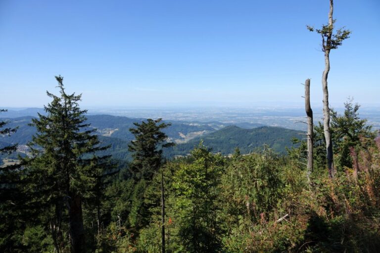 hornisgrinde (2)