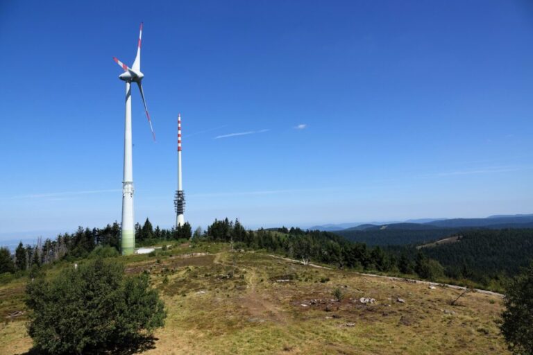hornisgrinde (8)